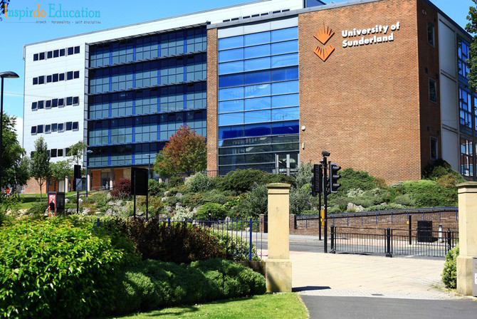 dai_hoc_sunderland