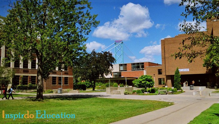 universityofwindsor-2