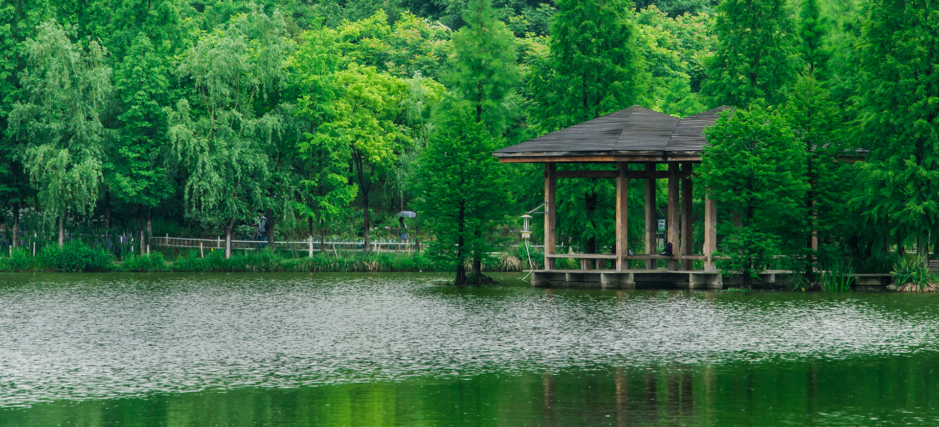 dh-nong-lam-chiet-giang-1