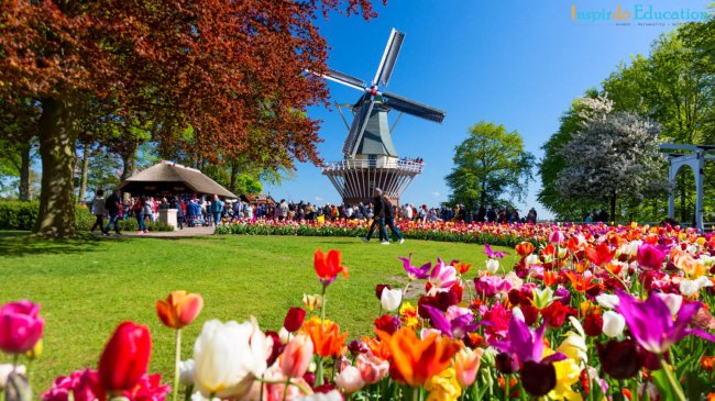 AdobeStock_242368501-e1578589210416