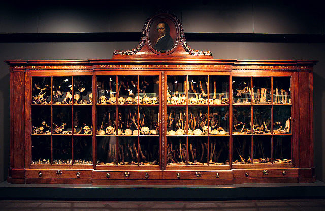 bao-tang-bo-phan-nguoi-1