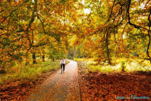 cong-vien-quoc-gia-hoge-veluwe