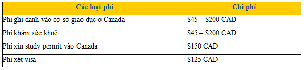 cac-chi-phi-lam-thu-tuc-visa-du-hoc
