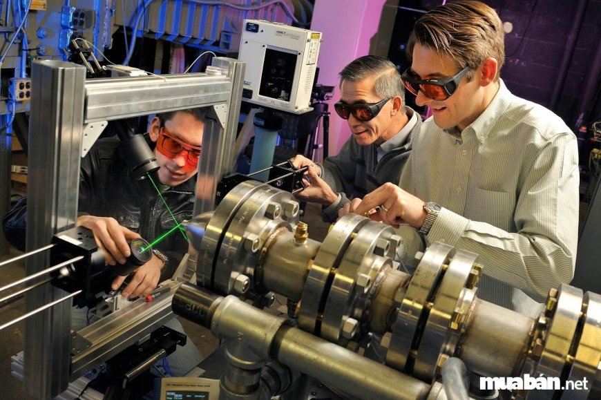 nguon-nhan-luc-newzealand-03