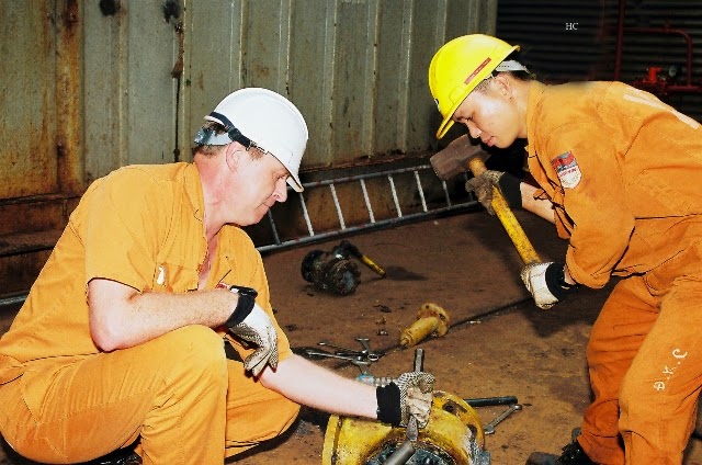 nguon-nhan-luc-tai-newzealand-01