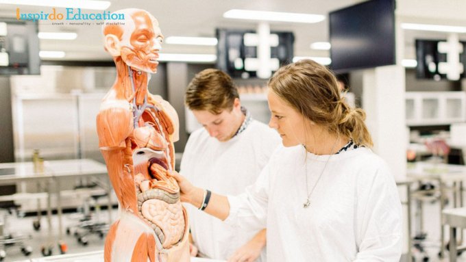 Doctor-of-Medicine-2