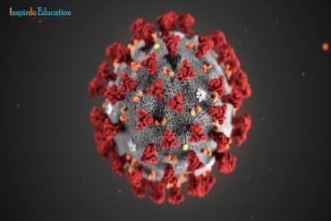 Canada cấm nhập cảnh khách du lịch không phải là công dân, thường trú nhân Canada hoặc công dân Mỹ