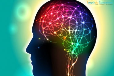 Du học Hà Lan ngành tâm lý học, lương có cao như lời đồn?