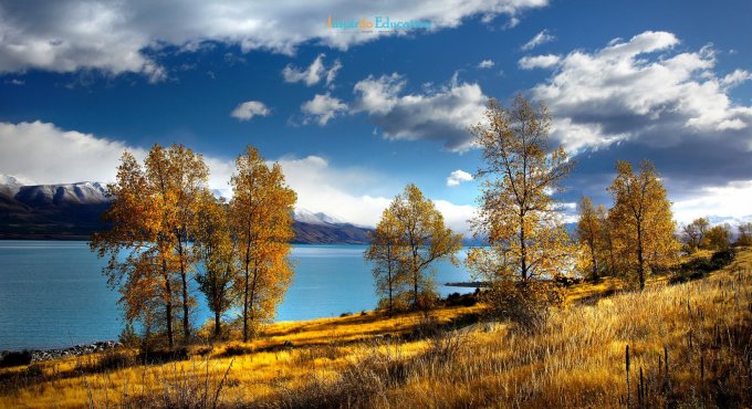 Landscape-in-New-Zealand