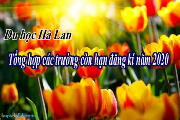 Tham gia tuần lễ tư vấn du học Hà Lan – Cơ hội cuối cho những bạn muốn du học năm 2020