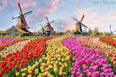 Tin vui: Hà Lan dự kiến xóa bỏ lệnh giãn cách xã hội vào tháng 9 năm 2021