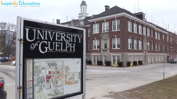 Guelph_university