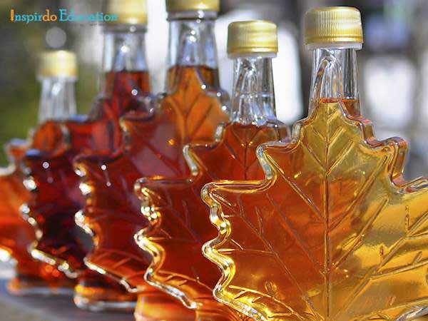 Canadas-Maple-Syrup