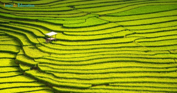 RuYng-bYc-thang-Longji