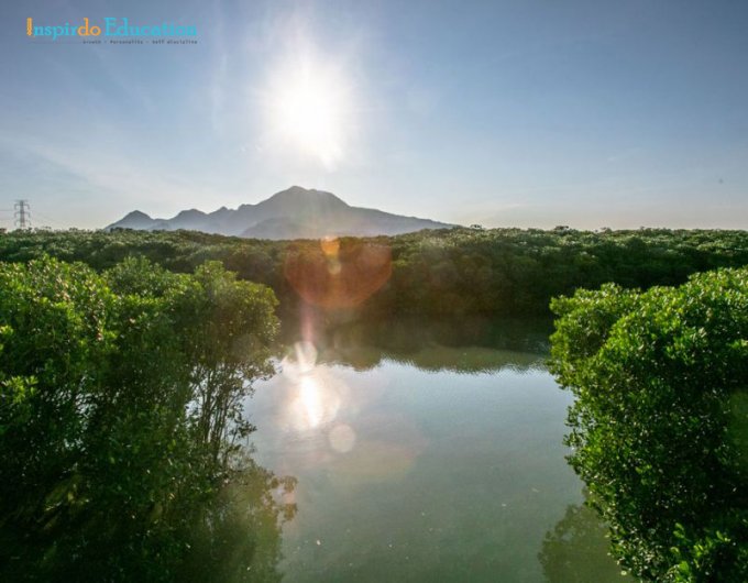 RYng-ngYp-mYn-Hongshuilin