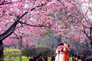 Chiêm ngưỡng vẻ đẹp sa hoa lộng lẫy của thành phố Thượng Hải khi du học Trung Quốc!