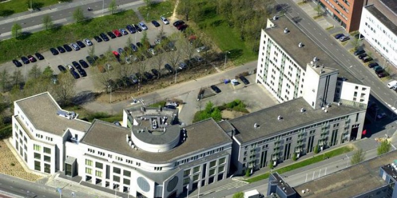 truong-quan-ly-maastricht