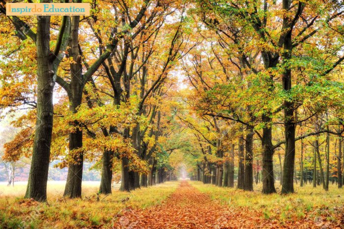 cong-vien-quoc-gia-hoge-veluwe