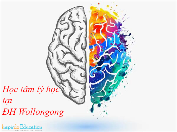 tam-ly-hoc-wollongong