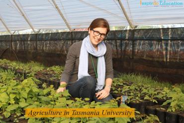 Du học Úc – Học ngành cử nhân Khoa học nông nghiệp tại Đai học Tasmania – Mức lương lên đến 170,000 AUD/năm