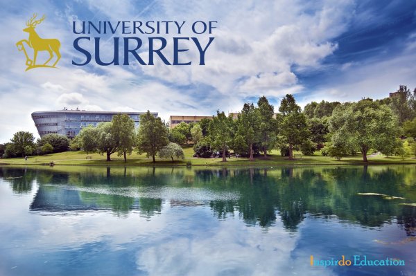 University-of-Surrey-anh-quoc
