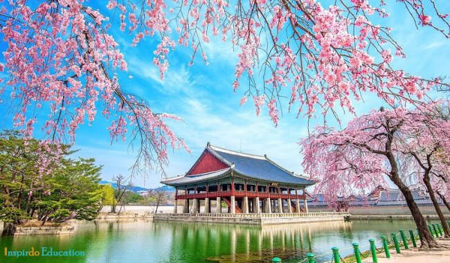 nhung_ly_do_nen_chon_du_hoc_han_quoc