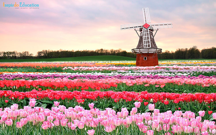 update-hoc-bong-du-hoc-ha-lan