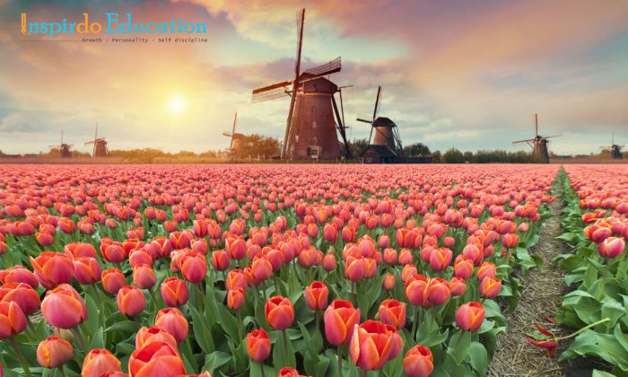 The-Netherlands-field