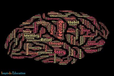 TOP những trường đào tạo tốt chương trình cử nhân tâm lý học tại Hà Lan