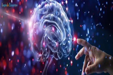 Du học Canada ngành Tâm lý học – Triển vọng nghề nghiệp cùng mức thu nhập hấp dẫn