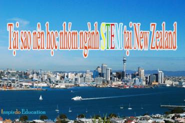 Học nhóm ngành STEM tại New Zealand – Tương lai nằm trong tay bạn