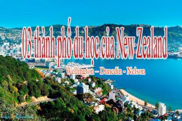 03 thành phố của New Zealand được du học sinh yêu thích