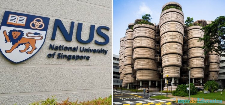 truong-nus-singapore