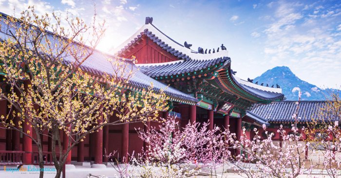 xin-visa-du-lich-han-quoc