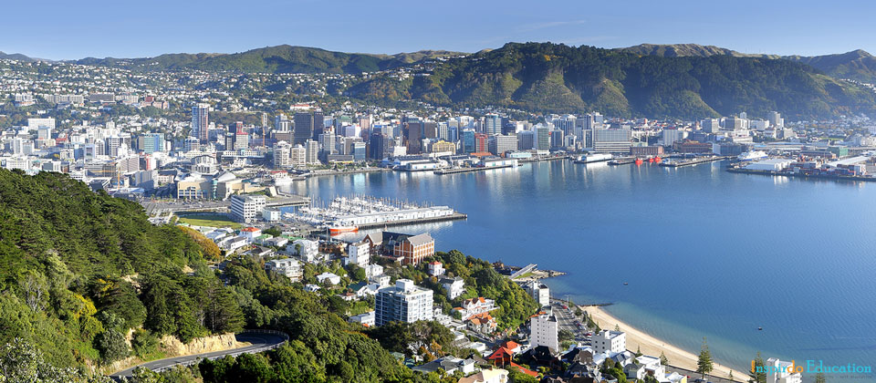 wellington