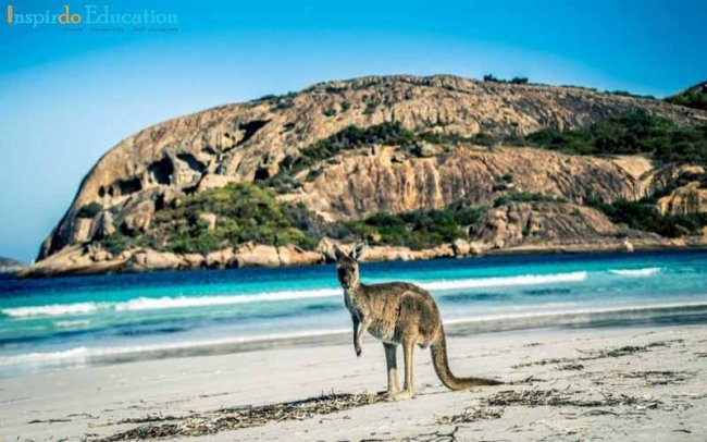 nhung_dieu_can_luu_y_khi_du_hoc_Uc