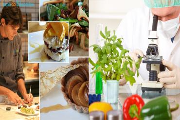 Học chương trình cử nhân Công nghệ thực phẩm tại Đại học KHUD The Hague – Bước đệm vững chắc cho sự nghiệp