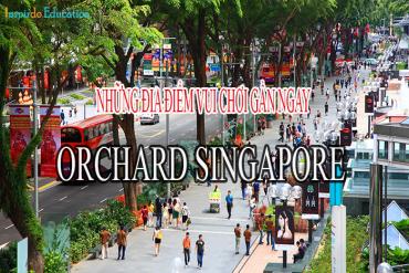 Đến Orchard Singapore ngoài mua sắm bạn còn có thể đến những địa điểm vui chơi nào