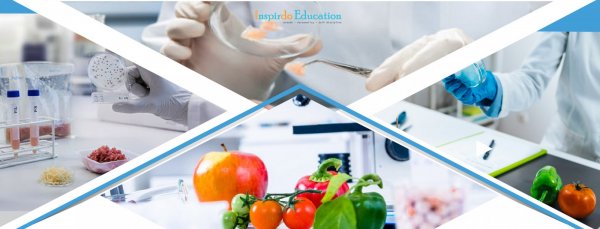 Food-Science-and-Technology-2